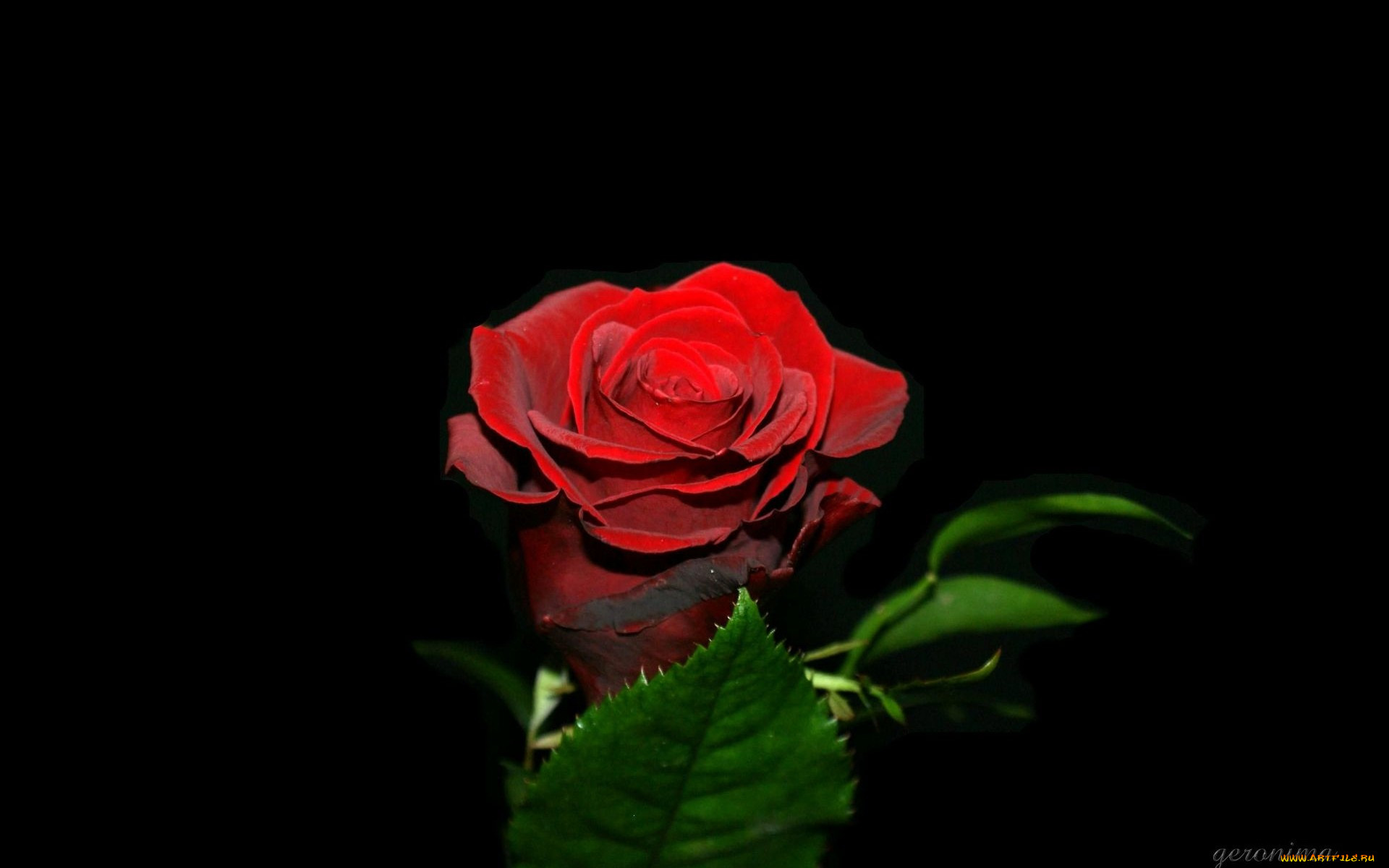 , geronima, , , 